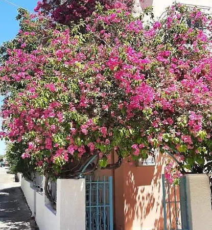 Rodanthos 2* Perdika (Aegina)