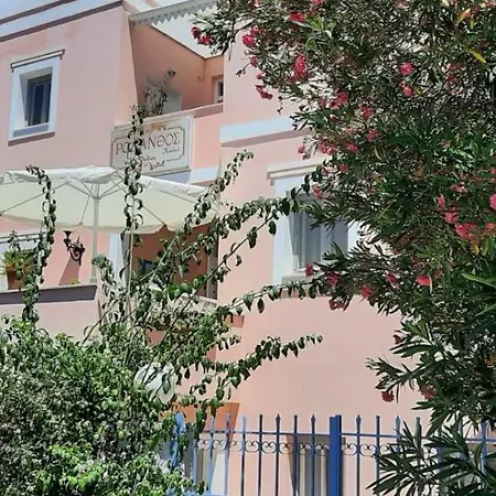 Rodanthos Perdika (Aegina)