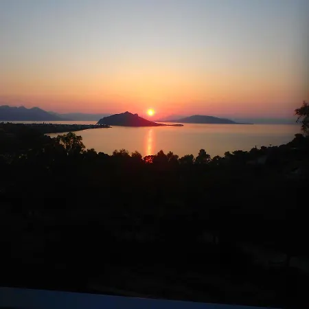 Rodanthos