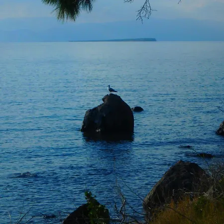 Rodanthos Perdika (Aegina)
